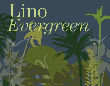 Lino Evergreen 